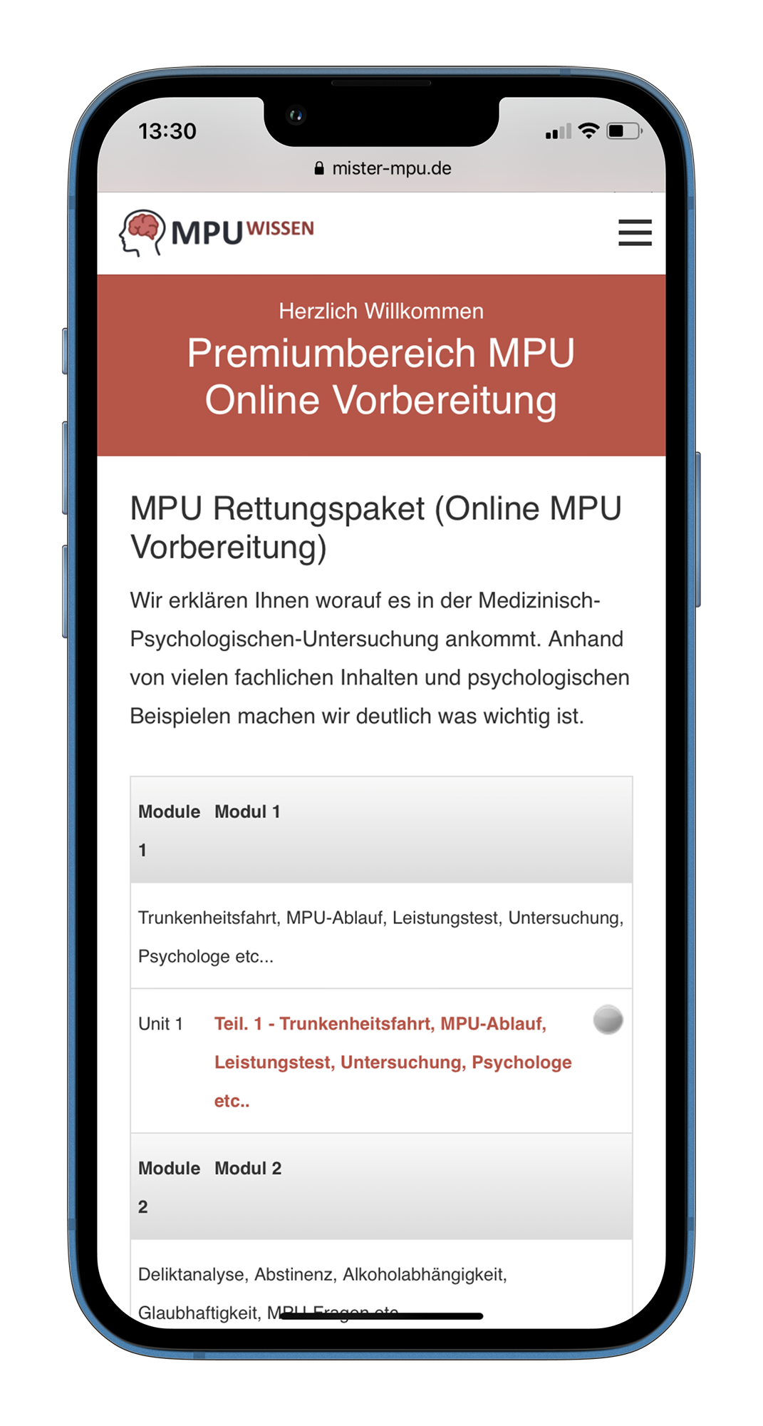 MPU Online Verbereitung